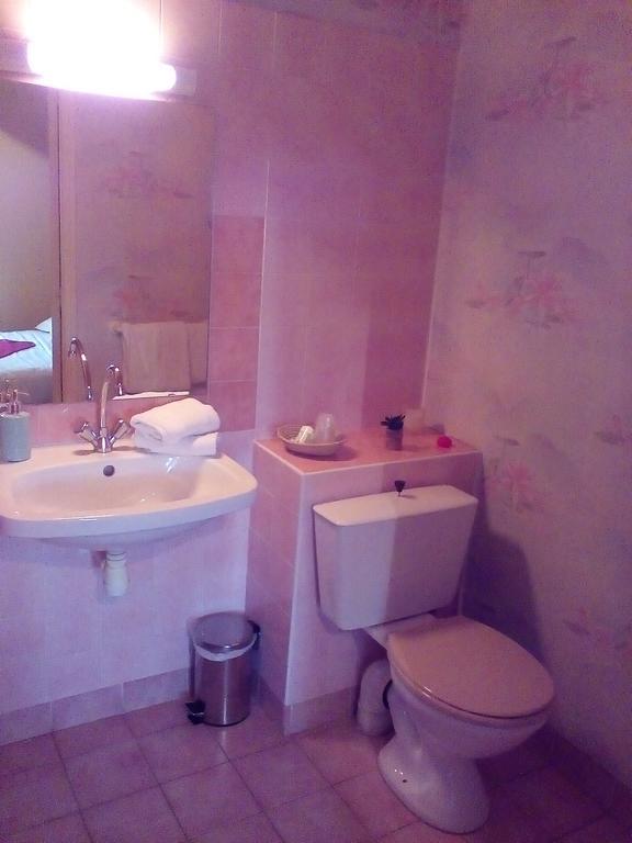 Отель Le Relais De La Caleche Saint-Denis-d'Anjou Экстерьер фото